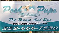 Vinyl Logo Banner